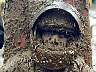 mudcolor.jpg